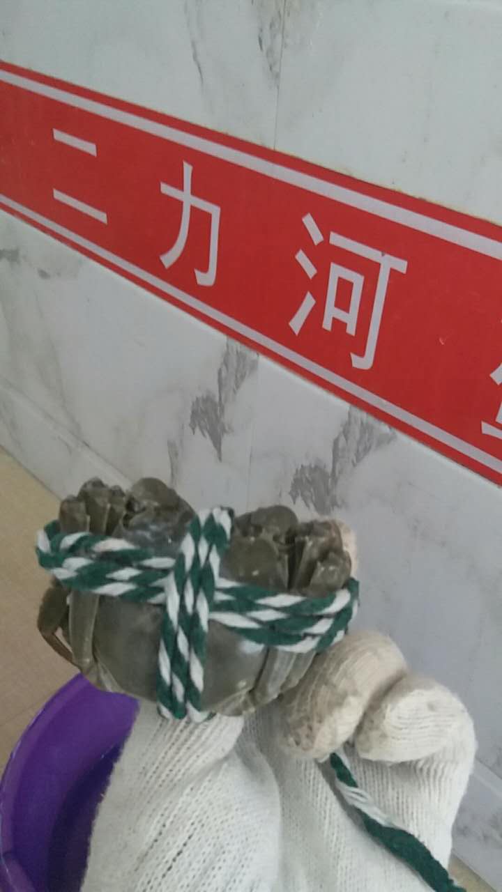 盘锦河蟹礼盒中的螃蟹如何捆绑