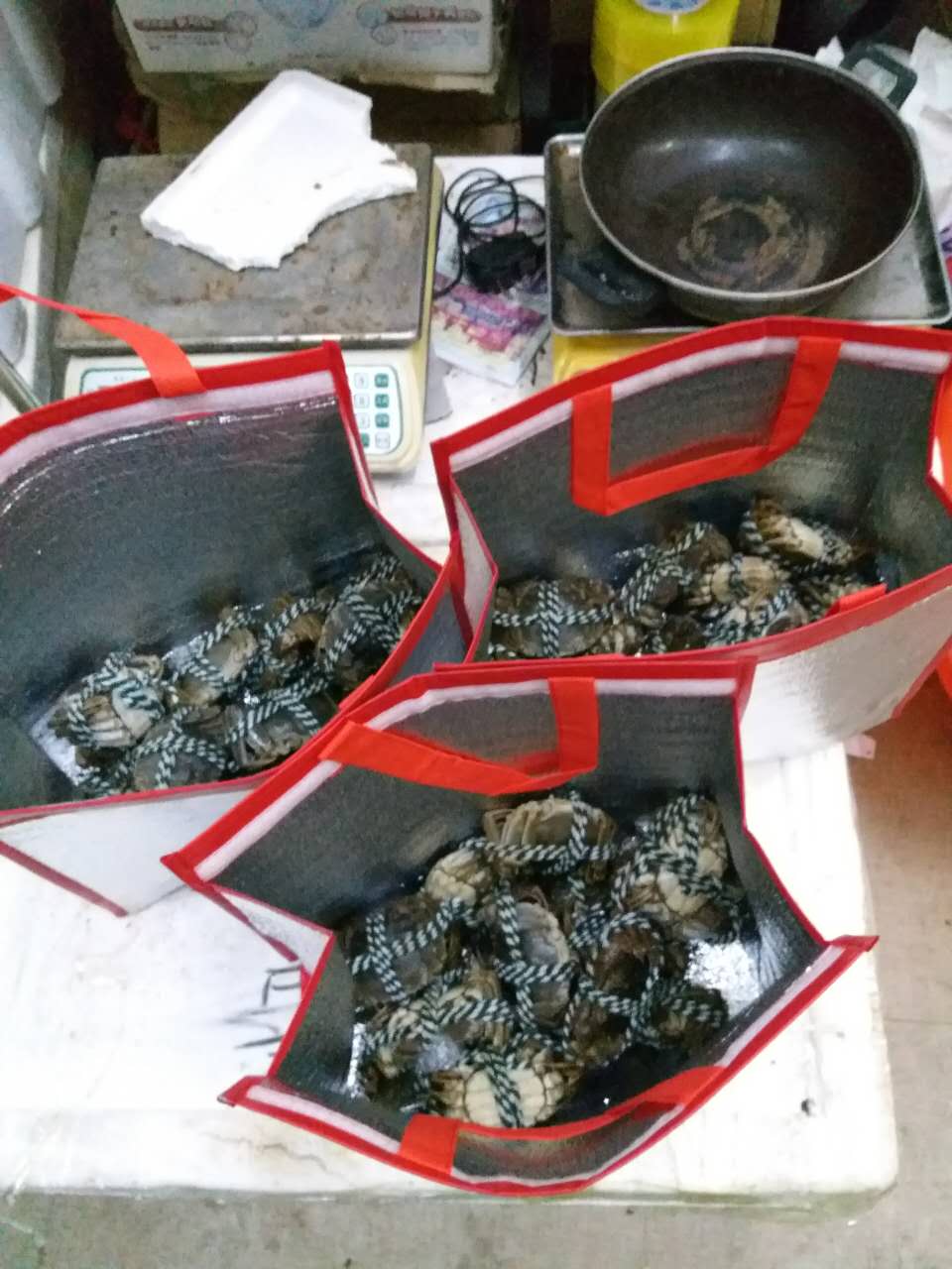 捆绑好的盘锦河蟹