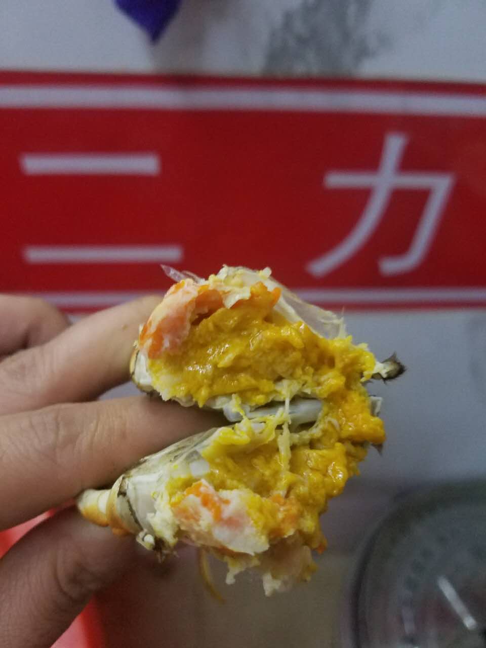 8月20日捕捞的二力有机蟹图片