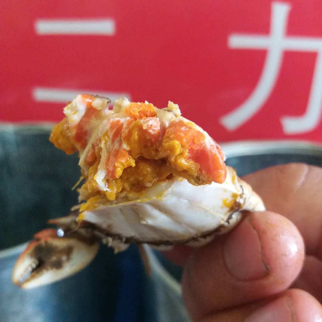 盘锦河蟹：一两重稻田母蟹