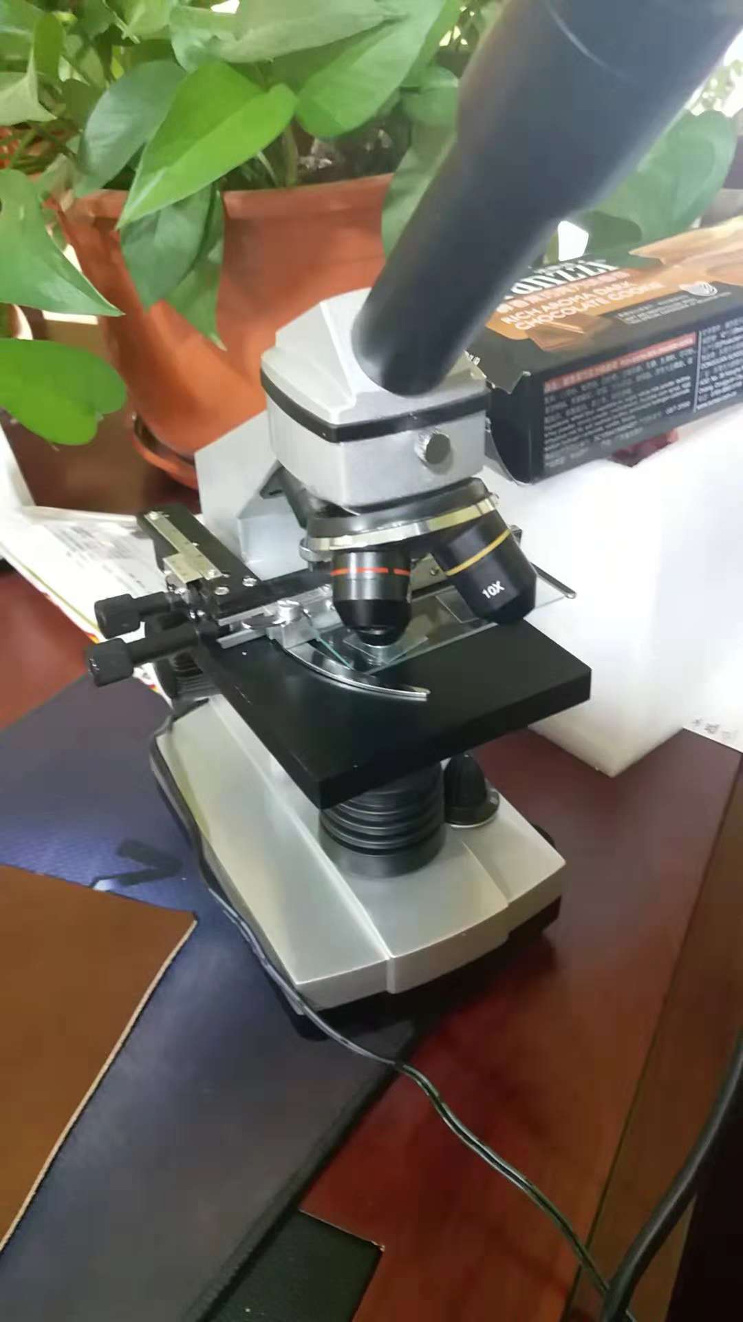 二力河蟹定蟹苗，送显微镜
