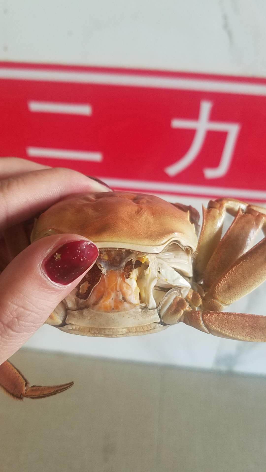 冬天的盘锦河蟹母蟹肥度不错很好吃
