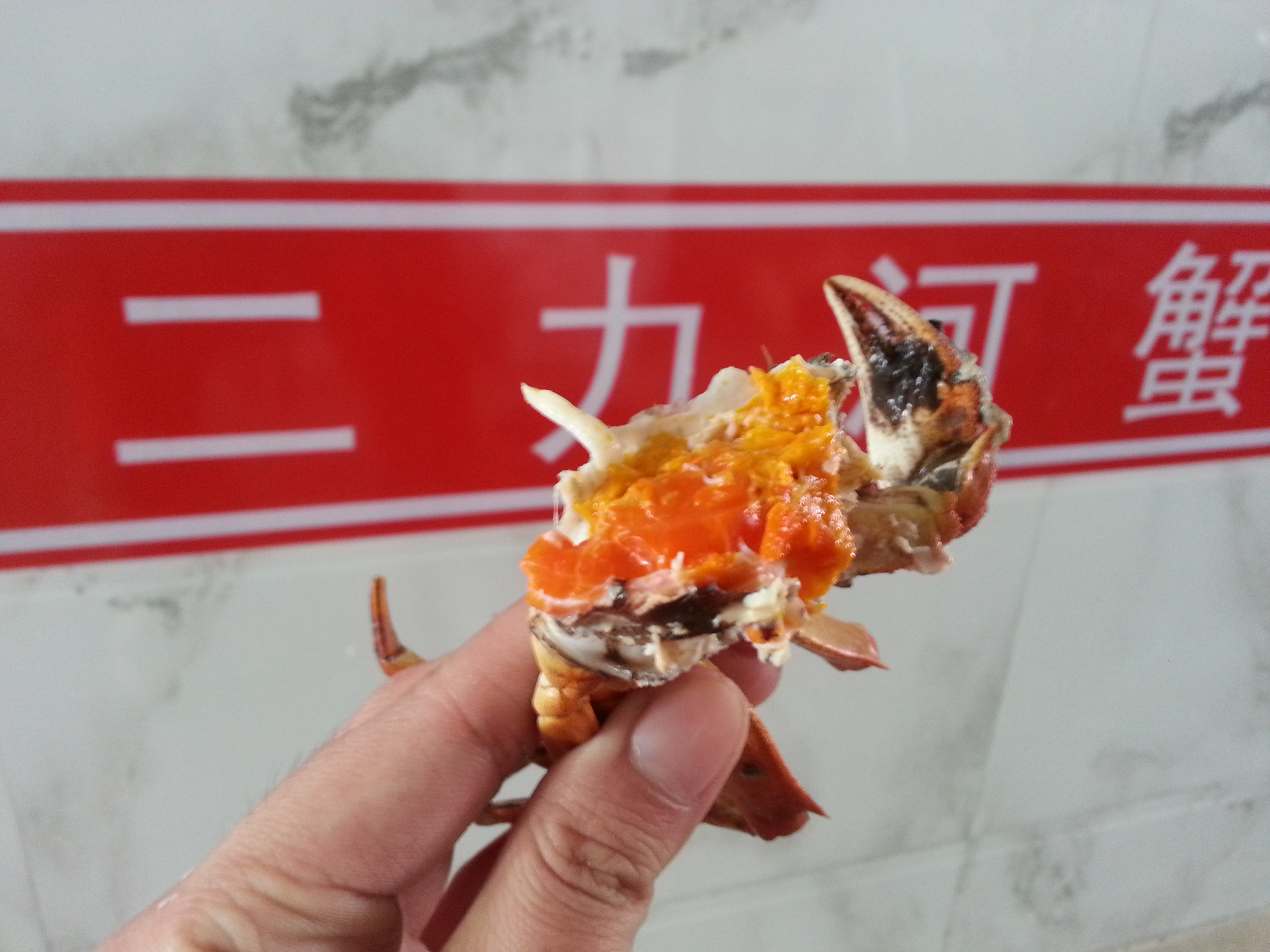 2015年春节期间二力河蟹养殖基地满黄盘锦母蟹