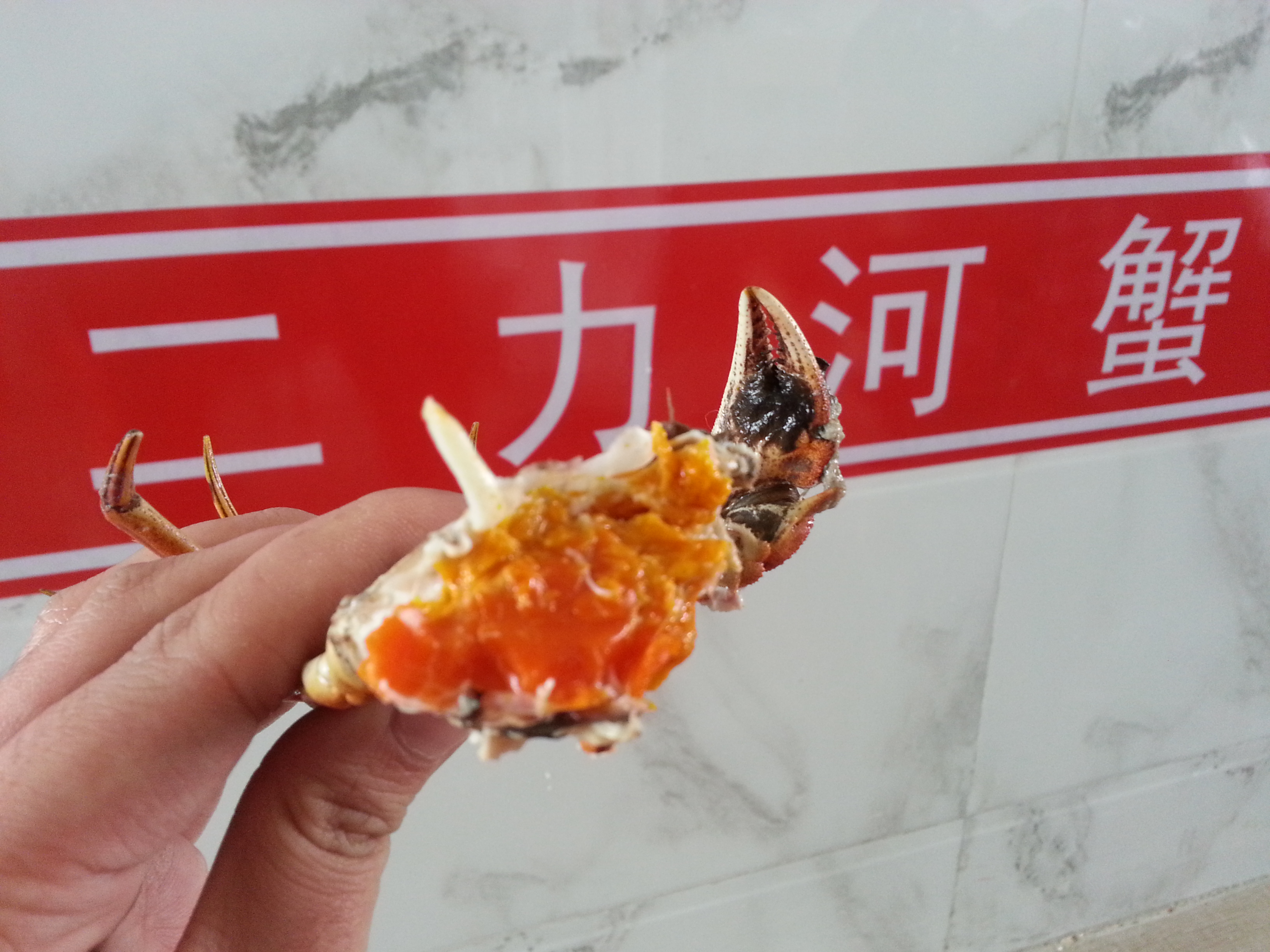 春节期间的盘锦河蟹