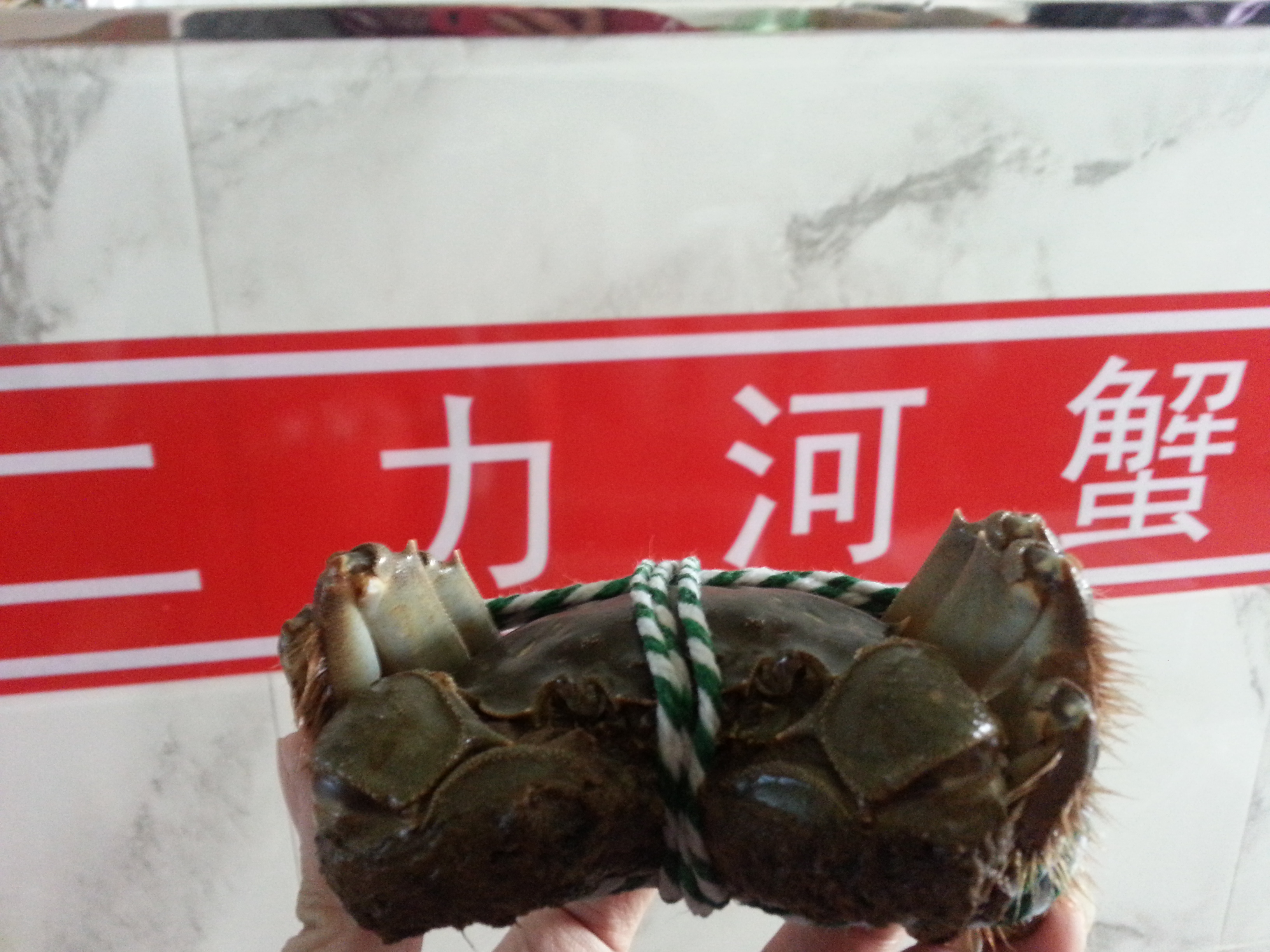捆绑后的二力牌盘锦河蟹