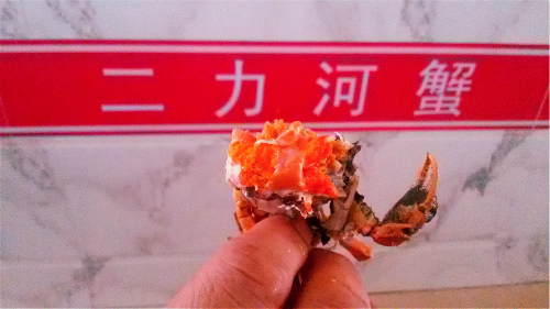 北京地区在线购买盘锦河蟹地址与价格