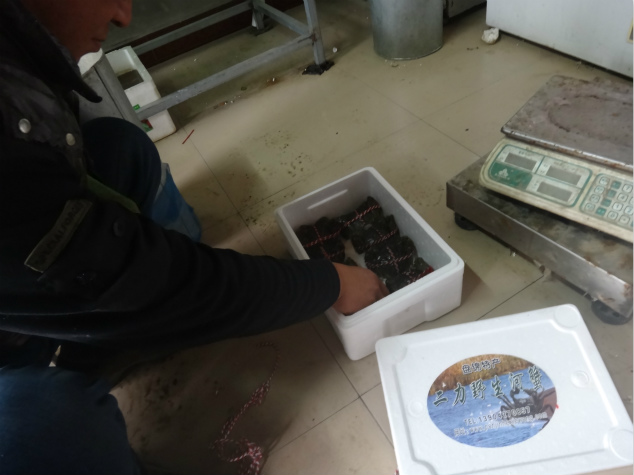 盘锦河蟹多少钱一斤