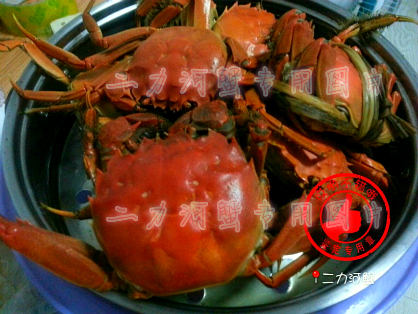 盘锦河蟹美食系列文化之一餐最多吃多少大闸蟹合适