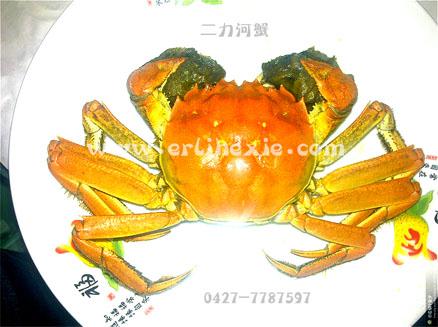 盘锦大公蟹