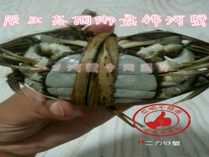 精选母蟹，生态捆绑